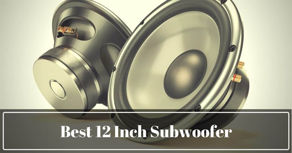 12 Inch Subwoofer